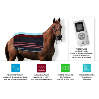 E.Ziback Pro vibrierende und beheizbare Massagedecke für Pferde E.Ziback Pro vibrierende und beheizbare Massagedecke für Pferde