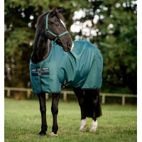 Horseware Amigo Ripstop 900D Poney Turnout 0g Decke Grün Dynastie / Marineblau / Silber Gr&amp;amp;amp;amp;amp;amp;amp;amp;u