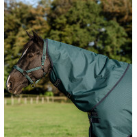 Halsabdeckung Horseware Reißfest Amigo® 900D Leicht 0g Grün Dynastie / Marineblau / Silber Gr&amp;amp;amp;uuml;n