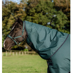 Horseware Amigo Ripstop 900D Turnout Halsdecke 150g Grün Dynastie / Marineblau / Silber Horseware Amigo Ripstop 900D Turnout Halsdecke 150g Grün Dynastie / Marineblau / Silber