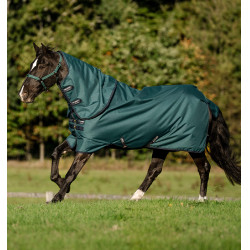 Amigo Ripstop Horseware 900D Plus Turnout 200g Decke Grün Dynastie / Marineblau / Silber Amigo Ripstop Horseware 900D Plus Turnout 200g Decke Grün Dynastie / Marineblau / Silber