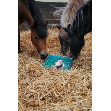 Adventskalender Natural'Christmas Gourmet 2025 Natural'Innov