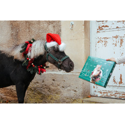 Adventskalender Natural'Christmas Gourmet 2025 Natural'Innov