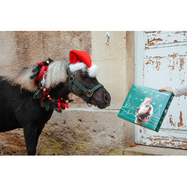 Adventskalender Natural'Christmas Gourmet 2025 Natural'Innov