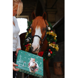 Adventskalender Natural'Christmas Gourmet 2025 Natural'Innov