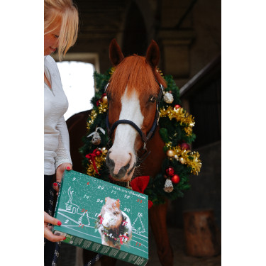 Adventskalender Natural'Christmas Gourmet 2025 Natural'Innov