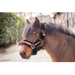 Pénélope Soft Halfter Schwarz