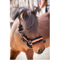 Pénélope Soft Halfter Schwarz