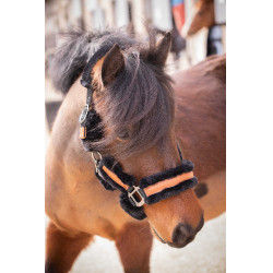 Pénélope Soft Halfter Schwarz