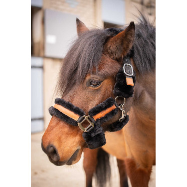 Pénélope Soft Halfter Schwarz