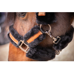 Pénélope Soft Halfter Schwarz