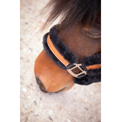 Pénélope Soft Halfter Schwarz