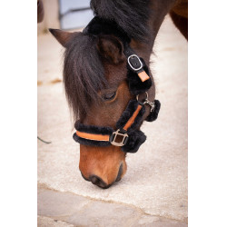 Pénélope Soft Halfter Schwarz