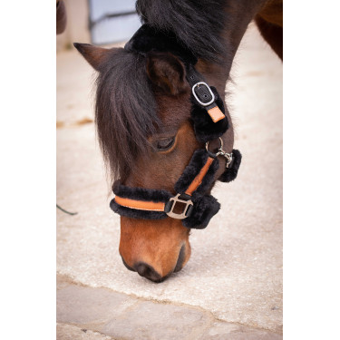 Pénélope Soft Halfter Schwarz