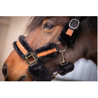 Pénélope Soft Halfter Schwarz