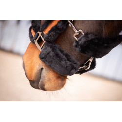 Pénélope Soft Halfter Schwarz