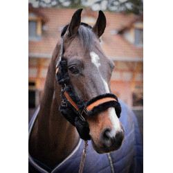 Pénélope Soft Halfter Schwarz