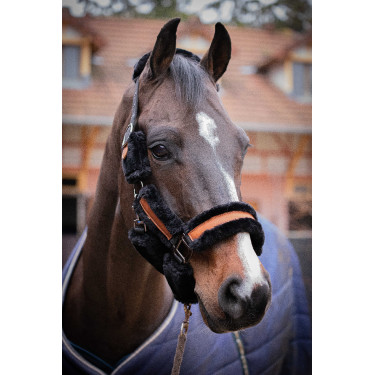 Pénélope Soft Halfter Schwarz