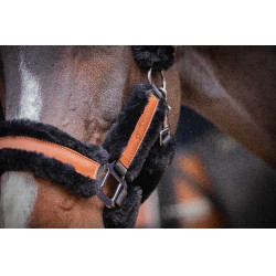 Pénélope Soft Halfter Schwarz