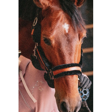 Pénélope Soft Halfter Schwarz