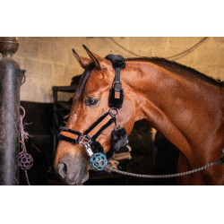 Pénélope Soft Halfter Schwarz