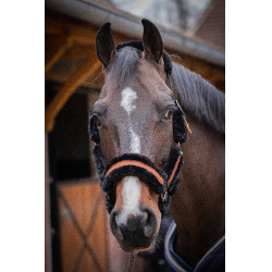 Pénélope Soft Halfter Schwarz