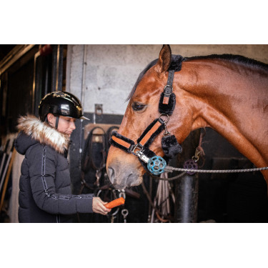 Pénélope Soft Halfter Schwarz