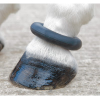 Fesselring Shires Schwarz Fesselring Shires Schwarz