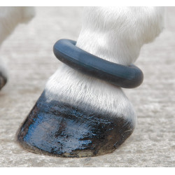 Fesselring Shires Schwarz