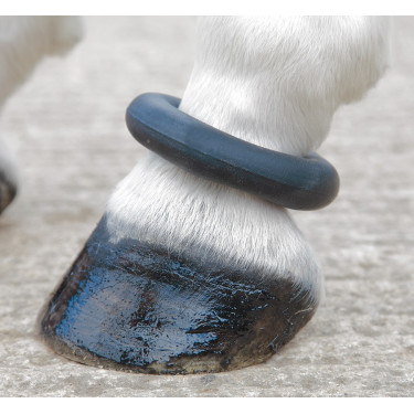 Fesselring Shires Schwarz