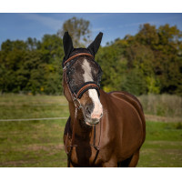 Fliegenmaske Equithème Training Fliegenmaske Equithème Training