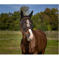 Fliegenmaske Equithème Training