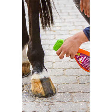 Express-Fellreiniger Equinatura Express-Fellreiniger Equinatura