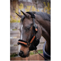 Pénélope Soft Halfter Schwarz