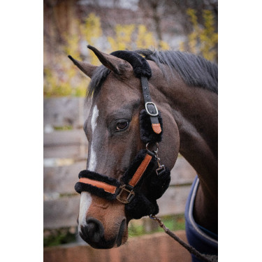 Pénélope Soft Halfter Schwarz