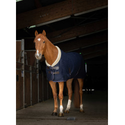 Mesh-Hemd Equithème Teddy Marineblau