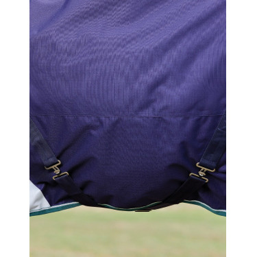 Weatherbeeta ComFiTec Dynamic Turnout 220 g Decke mit abnehmbarem Halsteil Marine / Waldgrün Blau Weatherbeeta ComFiTec Dynamic Turnout 220 g Decke mit abnehmbarem Halsteil Marine / Waldgrün Blau