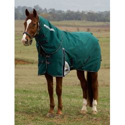 Weatherbeeta ComFiTec Dynamic Turnout 220 g Decke mit abnehmbarem Halsteil Waldgrün / Marineblau Gr&amp;amp;amp;uuml;n