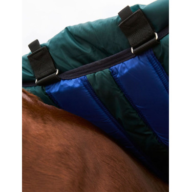 Weatherbeeta ComFiTec Dynamic Turnout 220 g Decke mit abnehmbarem Halsteil Waldgrün / Marineblau Gr&amp;amp;amp;uuml;n