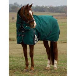 Weatherbeeta ComFiTec Dynamic Turnout 220 g Decke mit abnehmbarem Halsteil Waldgrün / Marineblau Gr&amp;amp;amp;uuml;n