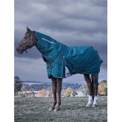 Weatherbeeta ComFiTec Dynamic Turnout 220 g Decke mit abnehmbarem Halsteil Waldgrün / Marineblau Gr&amp;amp;amp;uuml;n