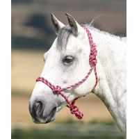 Halfter Ethologique Shires Rosa / Schwarz