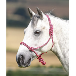 Halfter Ethologique Shires Rosa / Schwarz