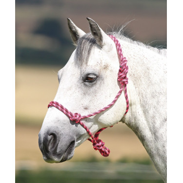Halfter Ethologique Shires Rosa / Schwarz