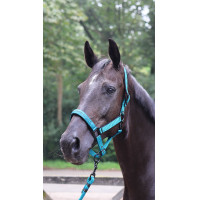 Anbindestrick Lami-Cell Charming Türkis Blau Anbindestrick Lami-Cell Charming Türkis Blau