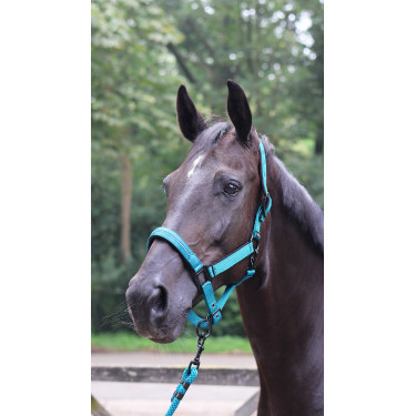 Anbindestrick Lami-Cell Charming Türkis Blau