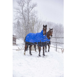 Equithème Tyrex Aisance 1200D High Neck Decke Königsblau