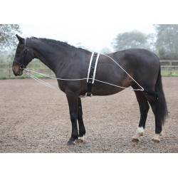 Longierhilfe Shires Schwarz