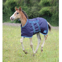 Fohlendecke Tempest Shires Marine / Türkis Blau