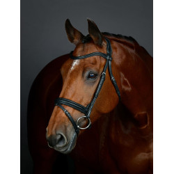Hannoversches Reithalfter Flash Collegiate ComFiTec Opulux, schlicht gepolstert Schwarz